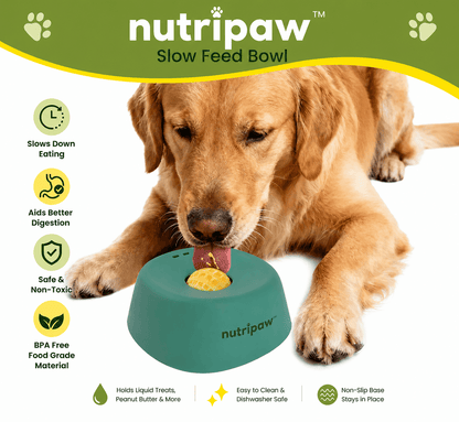 NutriPaw™ - Pet Slow Feed Bowl