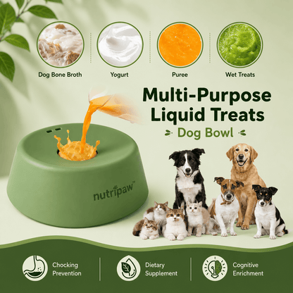 NutriPaw™ - Pet Slow Feed Bowl