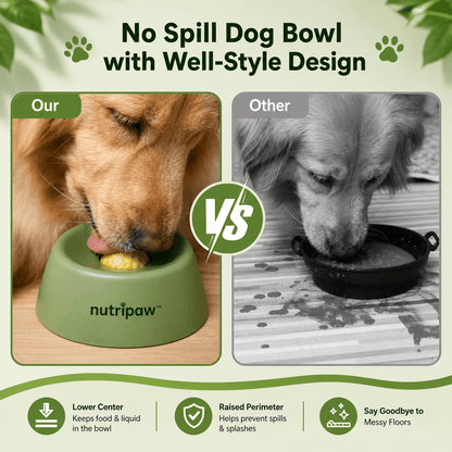 NutriPaw™ - Pet Slow Feed Bowl