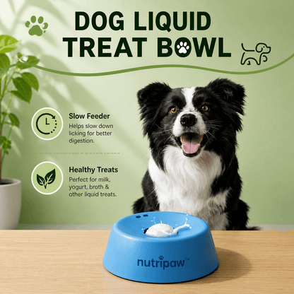 NutriPaw™ - Pet Slow Feed Bowl